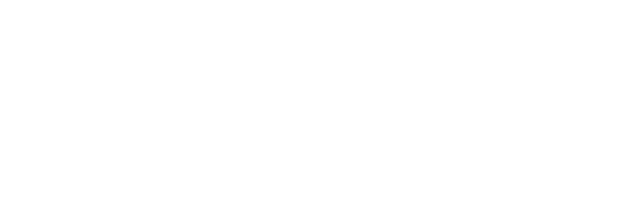 PAE Group